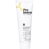 Hepta Collection Probident Aktif Probiyotikli Florürsüz Akgünlük Özüt Ilaveli Doğal Diş Macunu 75ML