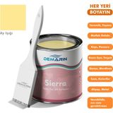 Her Şeyi Boyayan Boya Demarin Sierra Tek Bileşen Fayans, Tezgah, Seramik, Mobilya, Zemin Boyası - 1 Kg - Ayışığı