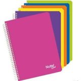 Hera A-4 Spiralli Defter Plastik Kapak Helezon Kareli 96 Yaprak 96/4 Dfn-0288 6 Lı (1 Paket 6 Adet)