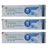 Herbadent Bitki Özlü Florürsüz Diş Macunu 3 Adet, Beyazlatıcı Etki, Aloe Vera İçerikli,