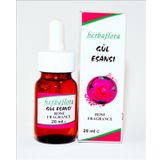 Herbaflora Gül Esansı (Rose Fragrance) -20 ml