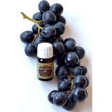 Herbaflora Üzüm Çekirdeği Yağı (Grape Seed Oil) -20 ml