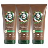 Herbal Essences 3x250 ml Nemlendirici Hindistan Cevizi Kokulu Saç Bakım Kremi