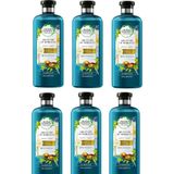 Herbal Essences Fas Argan Yağlı 6x400 ml Şampuan