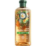 Herbal Essences Hacim Portakal Kokulu Şampuan 350 Ml*2 Adet