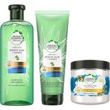 Herbal Essences Herbal Essence Şampuan Bamboo 380 ml Herbal Essences Sülfatsız Güç ve Nem Aloe Bambu Şampuan Saç Bakım Kremi 275 ml Herbal Essences Onarıcı Saç Maskesi 250 ml Fas Argan Yağı