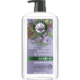 Herbal Essences Jojoba Yağı ve Lavanta 865 ml Bukle Belirginleştirici Şampuan