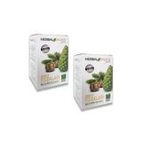 Herbal Palace 250 ml Servi Kozalağı Özü Şurubu (2 adet)