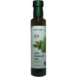 Herbal Palace 350 ml Çam Kozalağı Özü