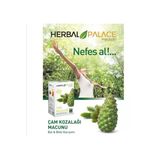 Herbal Palace Çam Kozalağı Macunu Bal Bitki Karışımı 240Gr