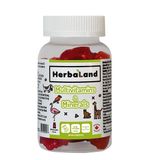 Herbaland Multivitamin Mineral's Jelibon 60 lık A-003843