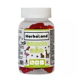 Herbaland Multivitamin Mineral's Jelibon 60 Lık