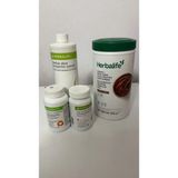 Herbalife Cıkolatalı Shake Aloe Thermo Seftalili Çay