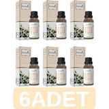Herbality Yasemin Yağı 20 ml 6*adet