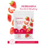 Herbamina Dondurularak Kurutulmuş Çilek - 20 gr