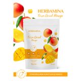Herbamina Dondurularak Kurutulmuş Mango - 20 gr