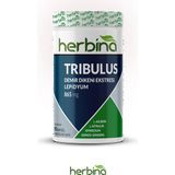 Herbina Trıbulus Demir Dikeni Esktresi Lepidyum 90 Kapsül - AROMASIZ