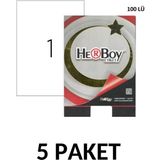 Herboy 5 Paket HB-1000 210 x 297 mm Lazer Etiket ( A4 Etiket ) 100LÜ