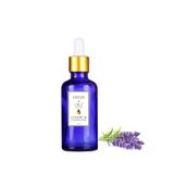 Herbs & Oils 50 ML Lavanta Yağı