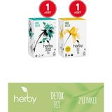 Herby Bitki Çayı Seti – Elma Sirkesi, Ananas, Yeşil Çay ve Isırgan Kiraz Sapı Karışımı, Metabolizma ve Arınma İçin, 2'li Paket