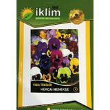 HERCAİ MENEKŞE ÇİÇEĞİ TOHUMU-1 KARIŞIK RENK