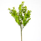 Herdekora Okaliptus Açık Yeşil 40 cm Yapay Bitki
