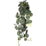 Herdekora Yapay Bitki Salon Sarmaşığı Monstera Dubia Yeşil 65 Cm.