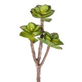 Herdekora Yapay Kaktüs Sukulent Kırmızı/Yeşil 35 Cm
