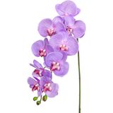 Herdekora Yapay Orkide Gerçek Dokulu Lila 95 Cm.