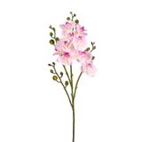 Herdekora Yapay Orkide Gerçek Dokulu Pembe 80 Cm.