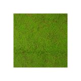 Herdekora Yapay Yosun Duvar Dekoru Tabaka Koyu Yeşil 100x100 Cm.