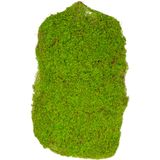 Herdekora Yapay Yosun Tabaka 35x56 Cm.