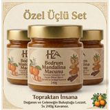HERDEN 3 Kavanoz Bodrum Mandalina Macunu | Zencefil, Zerdeçal, Havlıcan, Nane, Kekik, Okaliptus Yağı Içeren Macun 3X240 gr - 720 gr
