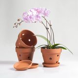 HERDUK Drenaj Delikli ve Tabaklı Orkide Terracotta Saksıları,Saksı için 6 İnç Orkide Kil Saksıları, Orkide Bakımı ve Kök Sağlığı için Çiçek Bitkisi Terracotta Pot