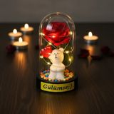 Hereveoyuncak Balonlu Ayıcık Ledli Gül Fannus