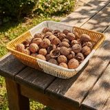 Hereveoyuncak Kare Çift Renkli Plastik Rattan Ekmek ve Meyve Sepeti - Çok Amaçlı Banyo ve Mutfak Düzenleyici - Yıkanabilir Tezgâhh Üstü Organizer