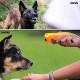 Hereveoyuncak Ultrasonik Köpeksavar Köpek Kovucu Köpek Kornası Eğitim Cihazzı