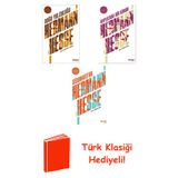 Hermann Hesse 3 Kitap Seti + Türk Klasiği Hediye