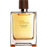 Hermes Eau Intense Vetiver Erkek Parfümü 100 ml Oryantal Koku ile Ferah Açılış