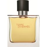 Hermes Terre D'Hermes EDT 100 Ml Erkek Parfüm Odunsu Oryantal Baharatlı Koku