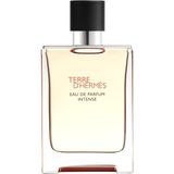 Hermes Terre D’hermès Eau De Parfum Intense 100 ml - Standart