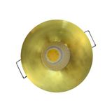 Hero Led 3 Watt Gold Kasa Mini Spot 3W Spot Driverlı - Gün Işığı - 1 - 10 W