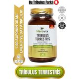 Herovix Tribulus Terrestis 500 mg 60 Kapsül