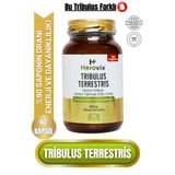 Herovix Tribulus Terrestris 500 mg %90 Saponin – Erkeklere Özel Bitkisel Takviye (60 Kapsül)