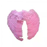 Herşeytrend Melek Kanadı Kostümü Pembe
