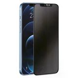 Herşeytrend Samsung Galaxy S24 Plus 3D Antistatik Hayalet Cam Ekran Koruyucu
