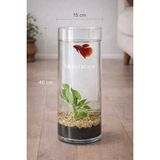 Heryerden El Işciliği Silindir Vazo 1.sınıf 15X40 cm Akvaryum Beta Balığı Japon Balığına Uygun