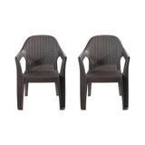 Hesaplimagazam Bs Plastik Rattan Polo 2 Adet Plastik Sandalye 2 Renk