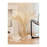 Hestia Home Silindir Cam Vazo 30 cm
