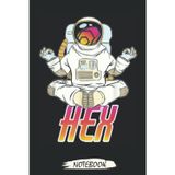 HEX Crypto Yoga Zen HODL Cryptocurrency Moon Man Notebook: Transaction Log Ledger, Air Drop Tracker, Notebook - Journal - Lined Journal - Mint Notebook 6x9x110 Pages